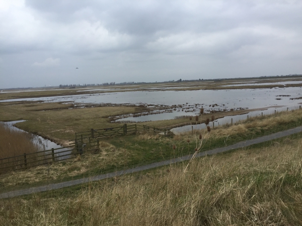Frampton Marsh Nature Reserve Frampton Marsh Nature Reserve