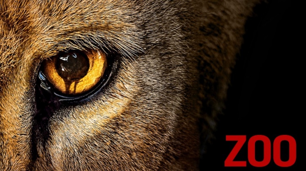 Zoo - The TV Series (2015 - ) Zoo - The TV Series (2015 - )