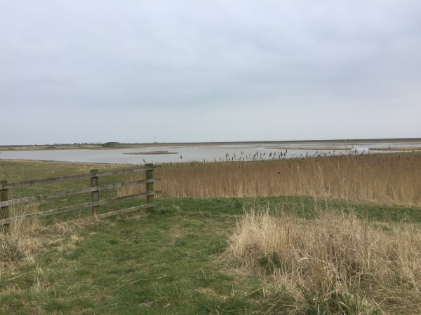 Frampton Marsh Nature Reserve Frampton Marsh Nature Reserve