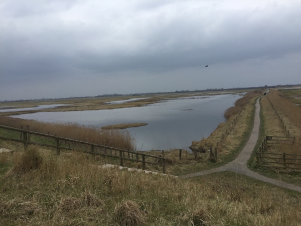 Frampton Marsh Nature Reserve Frampton Marsh Nature Reserve