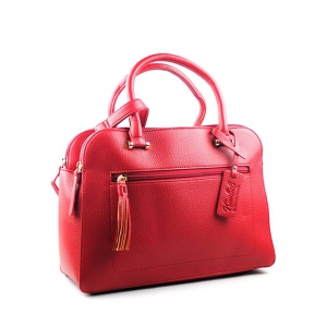 a frame backpacking tent