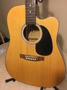 Eleca electric acoustic guitar review
