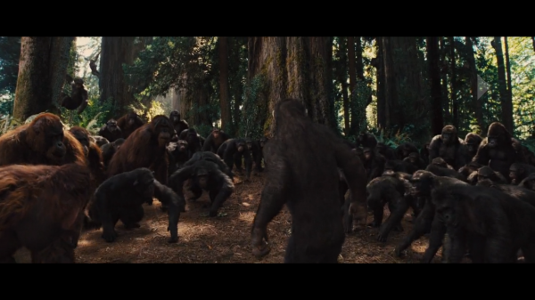 Rise of the Planet of the Apes (2011 science fiction movie) Rise of the Planet of the Apes (2011 science fiction movie)