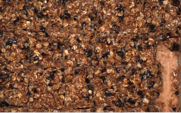 Dr. Oz No Bake Energy Boosting Antioxidant Bars Dr. Oz No Bake Energy Boosting Antioxidant Bars