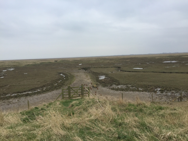 Frampton Marsh Nature Reserve Frampton Marsh Nature Reserve