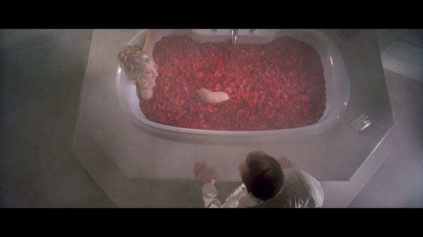 American Beauty (drama movie) American Beauty (drama movie)