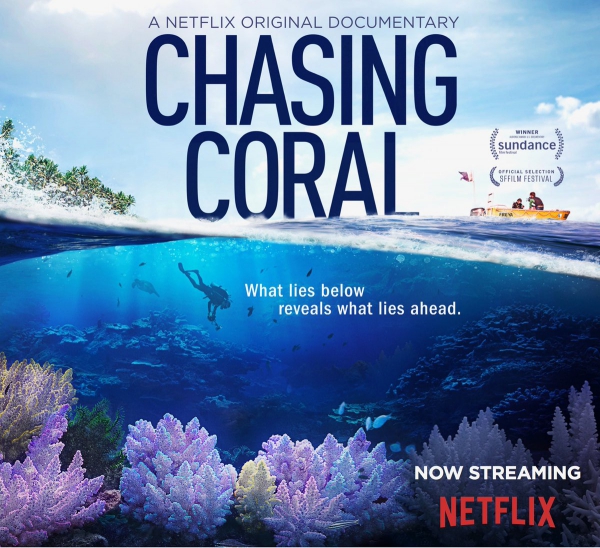 Chasing Coral (2017 Netflix Documentary Film) Chasing Coral (2017 Netflix Documentary Film)